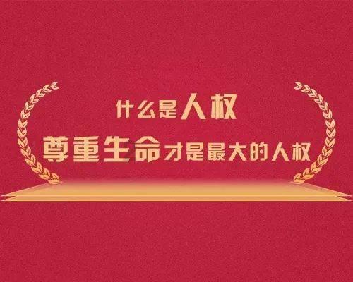 探索世界的奇妙之旅,尽在微信朋友圈消息记录怎么查看
